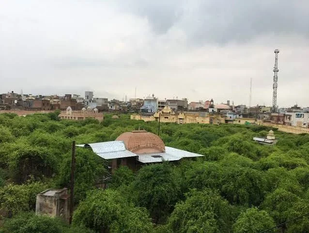 2 days Mathura Vrindavan Gokul tour package